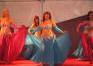 Bauchtnzerin Kulttour Bellydancer