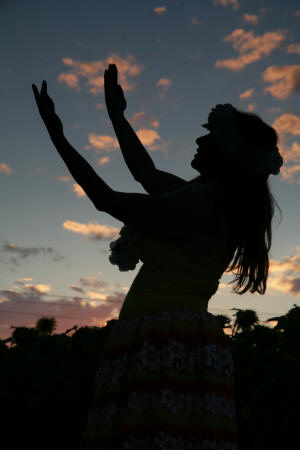 hawaiianisches Hula Showtanzgruppe